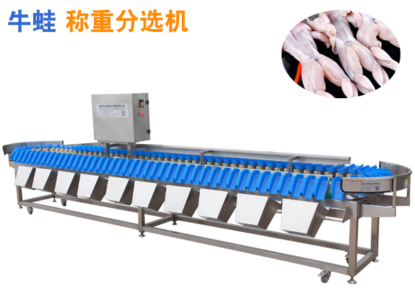 牛蛙稱重分選機(jī)林蛙重量分選機(jī)菜蛙分揀機(jī) 青蛙分選機(jī)林蛙分級機(jī)